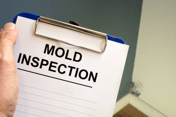 Best Mold Documentation for Insurance Claims  in Lookout Mountain, AL